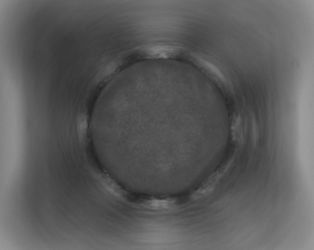 X0000110760314200906291033