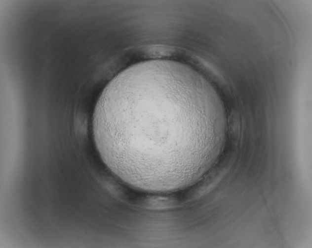 X0000110760315200906291033