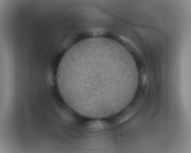X0000110760316200906291033