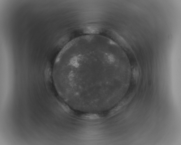 X0000110760322200906291033