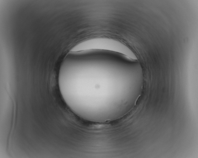 X0000110760323200906291033
