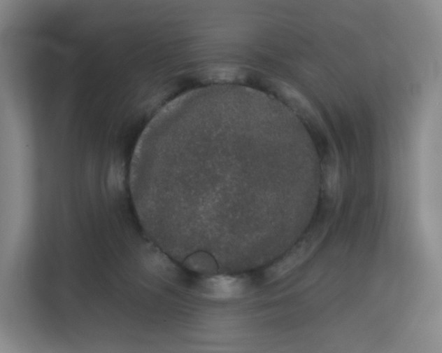 X0000110760326200906291033