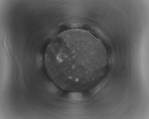 X0000110760327200906291033