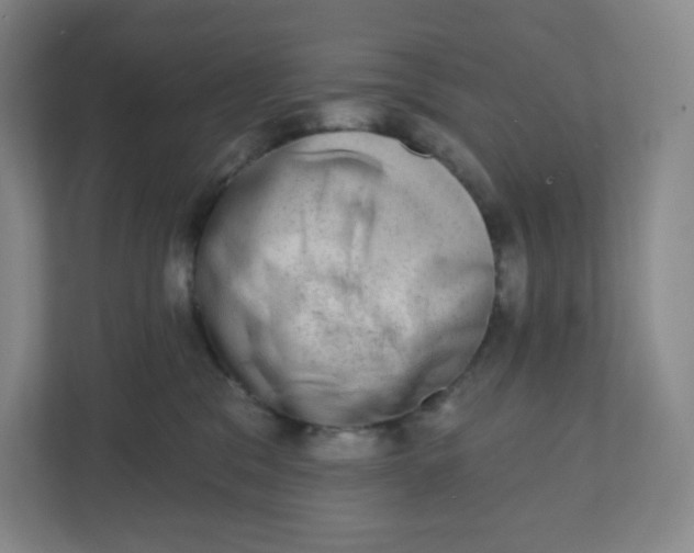 X0000110760329200906291033