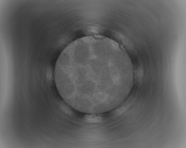 X0000110760331200906291033