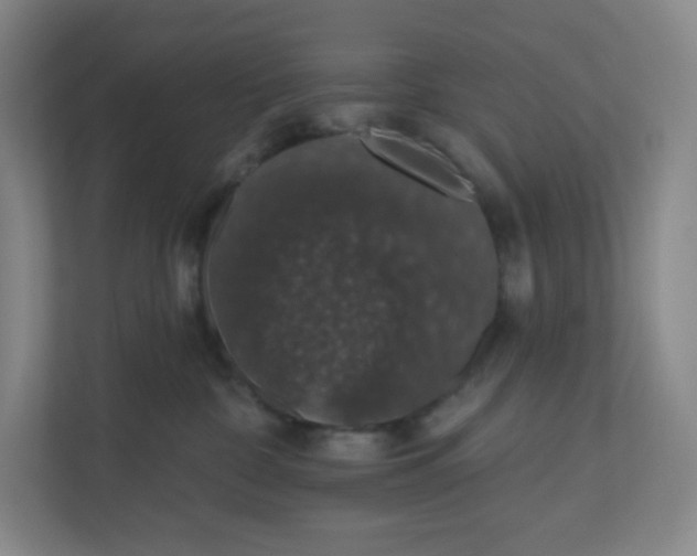 X0000110760332200906291033