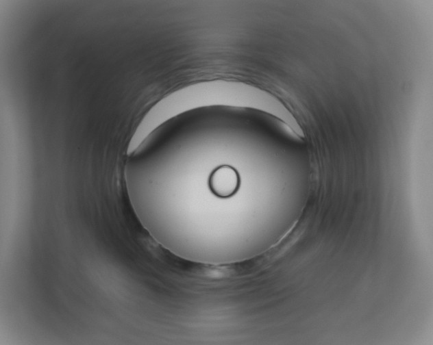 X0000110760333200906291033