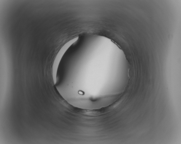 X0000110760336200906291033