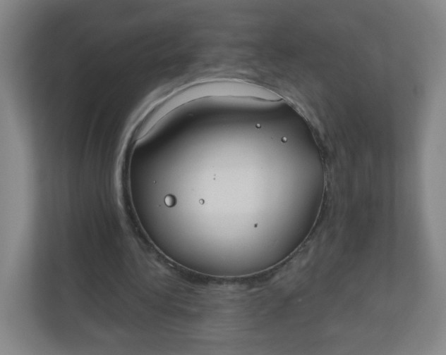 X0000110760340200906291032