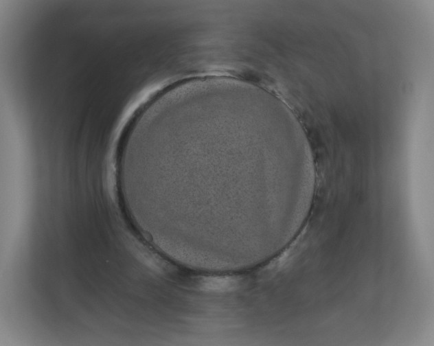 X0000110760342200906291032