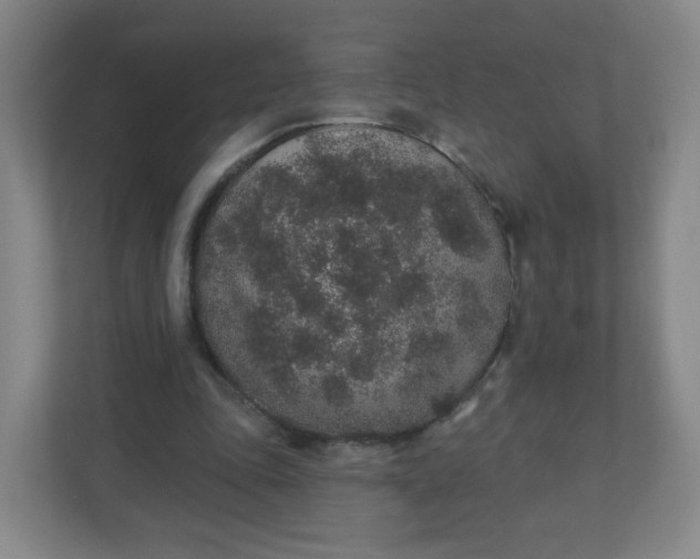 X0000110760343200906291032