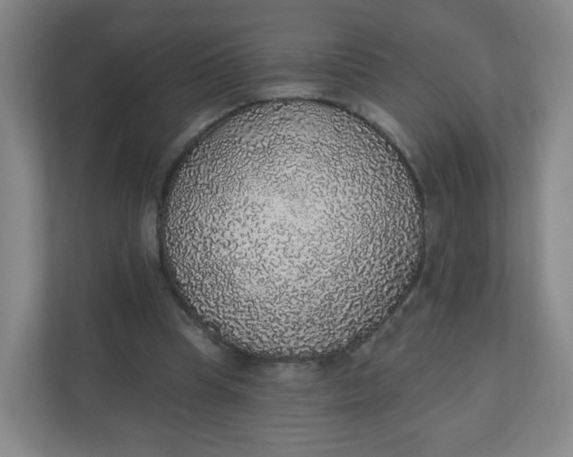 X0000110760345200906291032