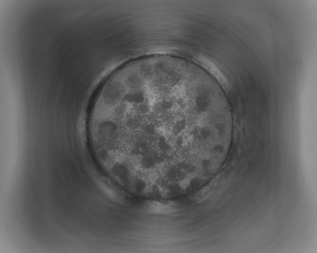 X0000110760346200906291032