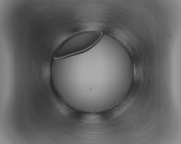 X0000110760348200906291032