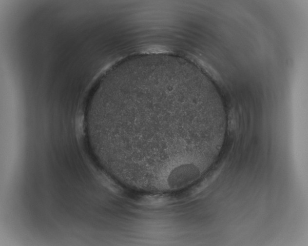X0000110760351200906291032
