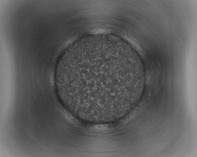 X0000110760353200906291032