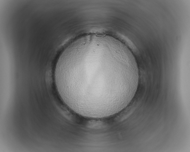 X0000110760354200906291032