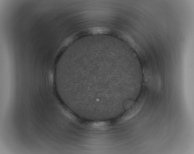 X0000110760357200906291033