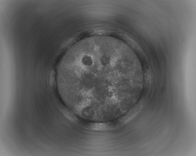 X0000110760361200906291033
