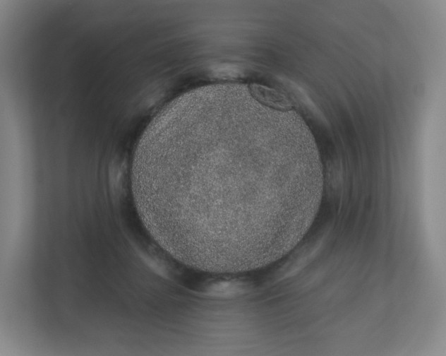 X0000110760364200906291033