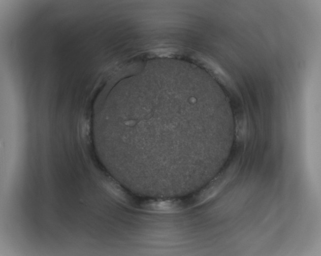 X0000110760365200906291033
