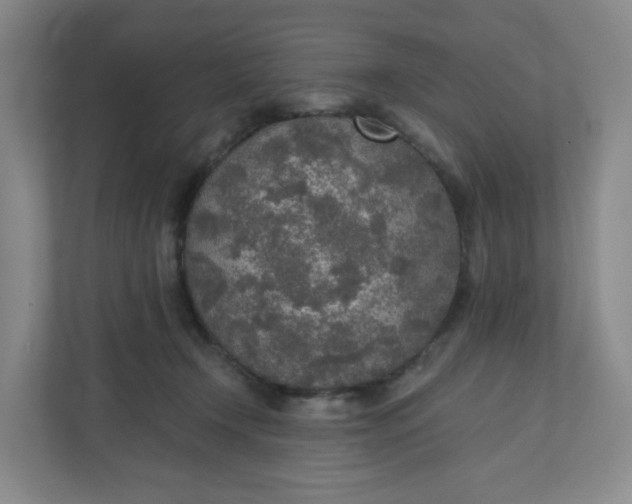 X0000110760366200906291033