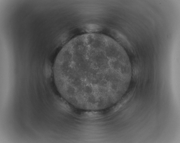 X0000110760367200906291033