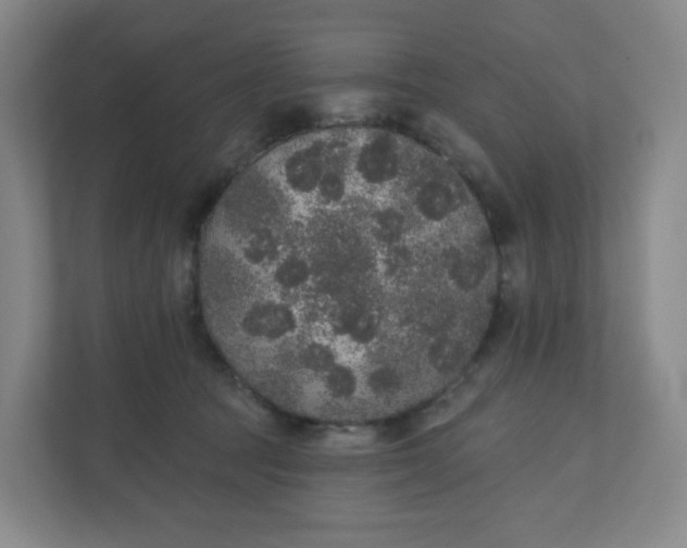 X0000110760369200906291033