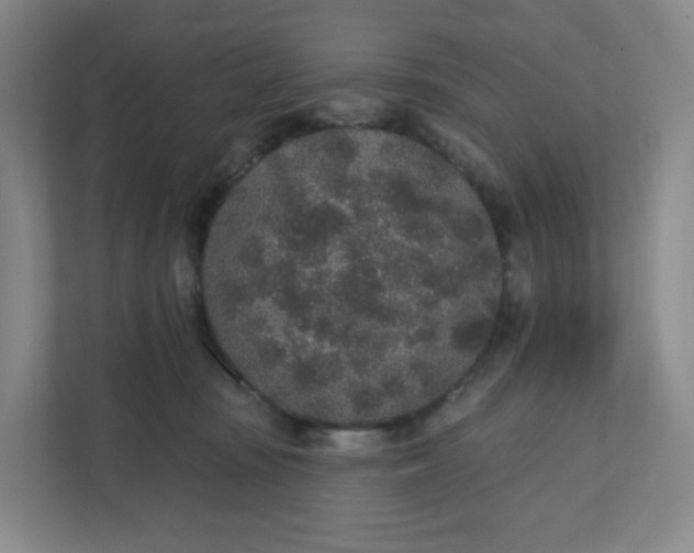 X0000110760371200906291033