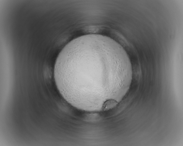 X0000110760374200906291033