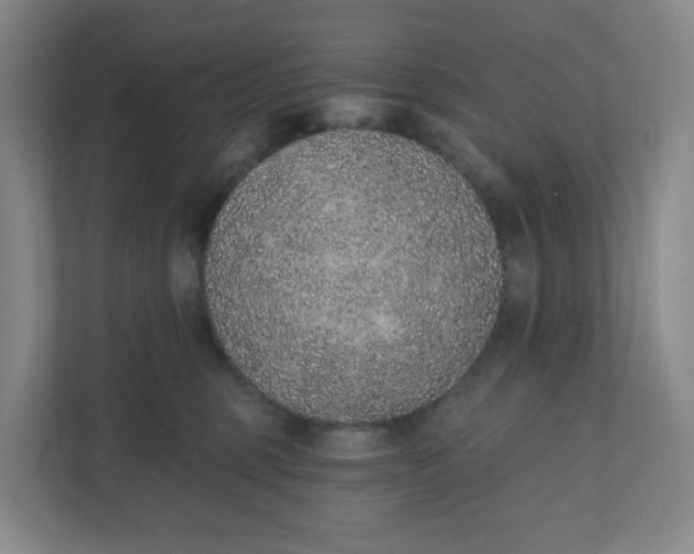 X0000110760375200906291033