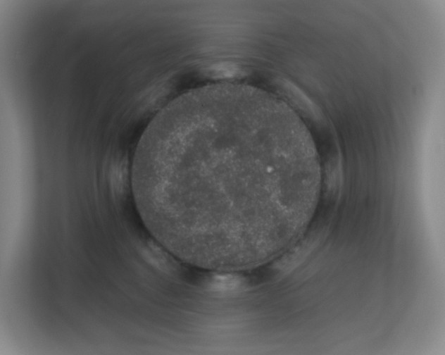 X0000110760376200906291033