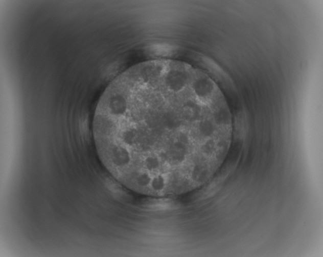 X0000110760377200906291033