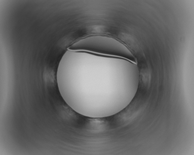X0000110760380200906291033