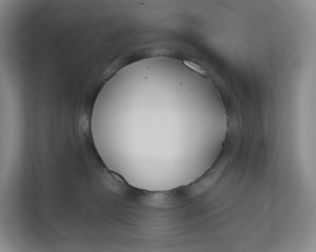 X0000110760382200906291033
