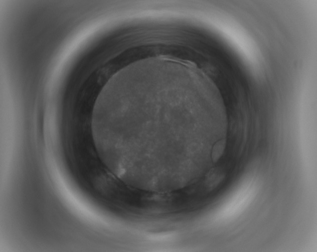 X0000110760383200906291033