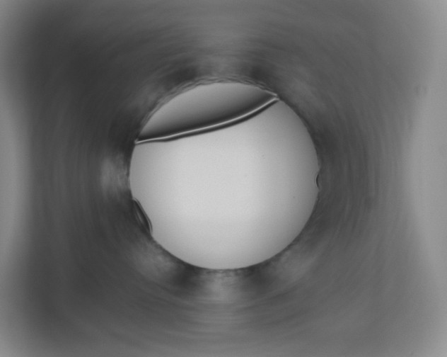 X0000110760384200906291033