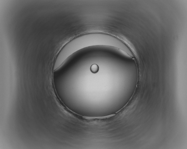 X0000110760385200906291032