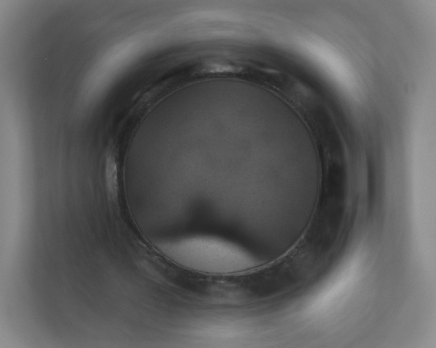 X0000110760387200906291032