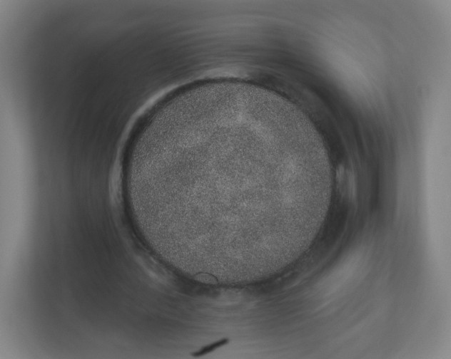 X0000110760388200906291032