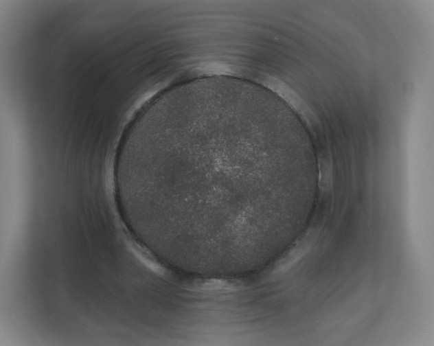 X0000110760390200906291032