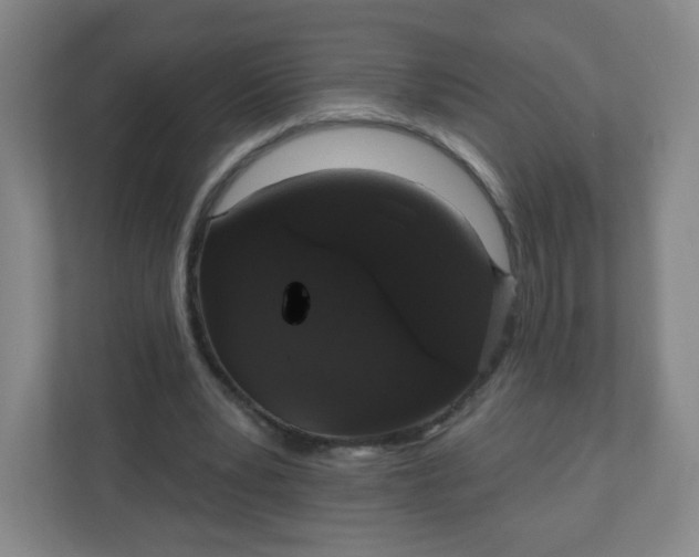 X0000110760391200906291032