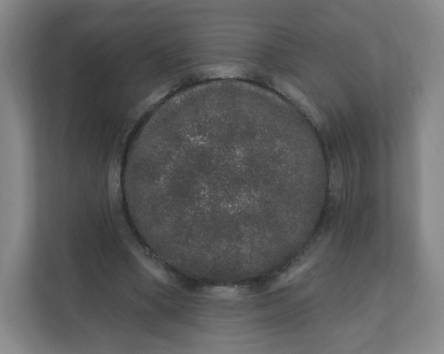 X0000110760394200906291032