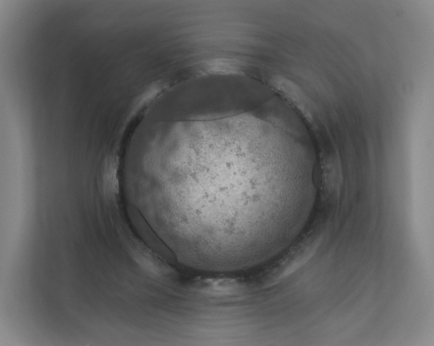 X0000110760395200906291032