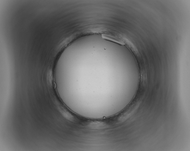X0000110760397200906291032