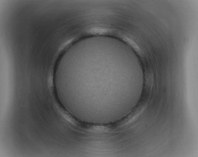 X0000110760399200906291032