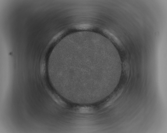 X0000110760400200906291032