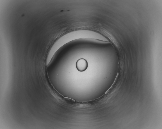 X0000110760401200906291032