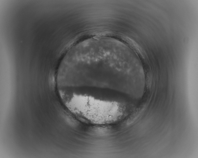 X0000110760405200906291032