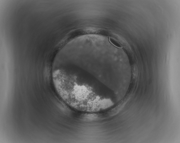 X0000110760409200906291032